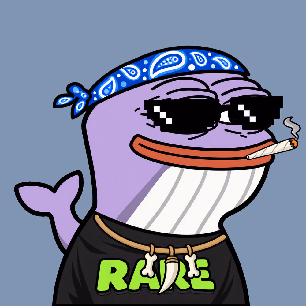 Rare Whales 246